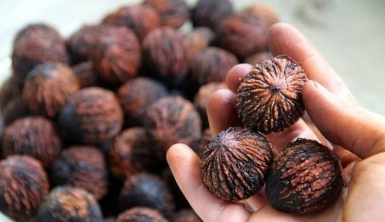 Black walnuts for parasites