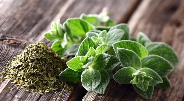 Oregano has anti-parasitic activity