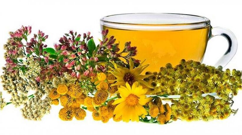 Decoction of Chamomile for Parasites